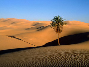 Sahara Desert