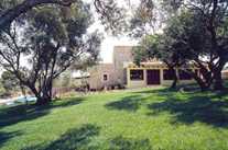 Finca