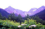 Telluride